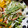 まいのすけ７８'s cooksnap of when they made 簡単☆カニカマと水菜のマヨぽんサラダ.