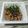 めぐ＊ぴぃ's cooksnap of when they made ごま塩レモン納豆　　　シンプルイズベスト.
