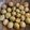 クック1O0AK4☆'s cooksnap of when they made 【作り置き】一口じゃがいもの甘味噌炒め.