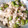 ヨシヨッシー's cooksnap of when they made 枝豆の白和え.