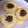 ☆結★'s cooksnap of when they made 簡単絞り出しクッキー.