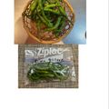 horseland's cooksnap of when they made 美味しい青唐辛子の塩漬け　（少量）.
