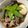 クックBU97ZR☆'s cooksnap of when they made メインにも♫豚肉とナスの煮浸し.