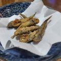 クリーピングタイム☆'s cooksnap of when they made 漁師さんに教わった！『メヒカリの唐揚げ』.