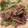 ＷａＴヒロコロ's cooksnap of when they made ご飯がすすむ!!もやしと牛肉のすき焼き風.