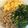 seesaa♪'s cooksnap of when they made ✿そぼろ三色丼ぶり✿.