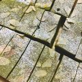 るゐ☆'s cooksnap of when they made ナッツとホワイトチョコの抹茶ブラウニー.
