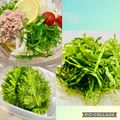 よしよしのキッチン☆'s cooksnap of when they made うちのやり方♤大葉の切り方とアク抜き法.