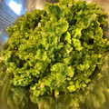 Ken09's cooksnap of when they made 意外と簡単！ゆず胡椒の作り方.