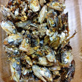 クレヨンパトラ's cooksnap of when they made 煮干しの佃煮.