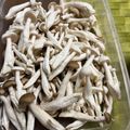 毎日みそ汁's cooksnap of when they made 包丁不要！しめじのほぐし方と保存方法.