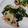 ちょちょこ✫'s cooksnap of when they made ☆包丁いらず☆わかめとカニカマの中華和え.