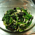 さばのみそ煮's cooksnap of when they made ほうれん草とえのきのさっぱり和え.