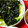 ⭐るる⭐'s cooksnap of when they made 簡単！チョレギサラダ風の和え物.