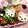 tiara love's cooksnap of when they made コリラックマ　キャラ弁　おかず♪　.