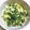 esper40's cooksnap of when they made ほうれん草エッグサラダ.