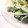 suzukey's cooksnap of when they made 小松菜の簡単塩昆布和え.