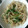 つぅたろ's cooksnap of when they made もやしとチンゲンサイの簡単中華炒め.
