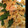 ♡Skydog♡'s cooksnap of when they made エビとさやえんどうのふわふわ卵とじ.