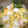 さんさんママのごはん's cooksnap of when they made 白菜とツナのとろとろ炒め煮.