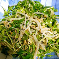 あっぷるぱい★★★'s cooksnap of when they made 水菜ともやしの棒々鶏風サラダ.