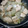 bu¢¢sky♪'s cooksnap of when they made 鶏肉と白菜のぷるぷる煮 簡単♪.