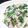 y0shiy's cooksnap of when they made ☆牛乳で！帆立と大根のクリームパスタ～☆.