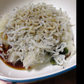 夕飯は６時です's cooksnap of when they made しらすとわかめのおろし和え.