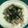 Ohka_mama's cooksnap of when they made ご飯が進む☆豚春菊.