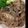 ルエリ's cooksnap of when they made 豚肉と舞茸のピリ辛炒め(^o^)v.