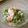 時花菜's cooksnap of when they made 菜の花とエビのマスタードマヨ和え.