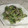 にゃにゃにゃあこ's cooksnap of when they made 簡単♪ゴーヤのみょうが合え.