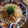 yumiぴょん's cooksnap of when they made たけのこと新たまねぎのしそ和風パスタ.