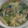 ラリー＆サラ's cooksnap of when they made 青梗菜とカニかまのスープ.