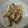 takamaruGT's cooksnap of when they made 長ねぎのオイスター炒め.