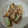 takamaruGT's cooksnap of when they made 長ねぎのオイスター炒め.