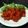 よぴよぴ☆よぴＮａ！'s cooksnap of when they made 簡単！カレー味のチキンのトマト煮.
