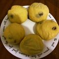 yossimario's cooksnap of when they made 白いクリームパン（レーズン入り）.