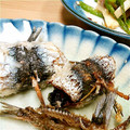 くまのみくん's cooksnap of when they made イワシのくるくる巻きあげ.