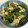 sayogon's cooksnap of when they made 小松菜と薄揚げの煮びたし.