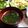 ﾊﾀﾊﾀ's cooksnap of when they made マグで簡単わかめスープ(*^^*)♪.