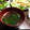 ﾊﾀﾊﾀ's cooksnap of when they made マグで簡単わかめスープ(*^^*)♪.