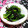 シャンプーハット's cooksnap of when they made 菜の花の塩こんぶ和え.