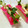 ＊Ｌｕｖ＊ラヴ＊'s cooksnap of when they made カイワレとかまぼこの簡単おつまみ.