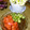Satoco❋'s cooksnap of when they made トマトとモズクの酢の物.