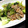 ももゆうた's cooksnap of when they made 豚肉とちんげん菜のスイートチリ炒め.