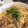 natumihagi's cooksnap of when they made オイルサーディンパスタ.