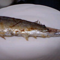 あとうさや's cooksnap of when they made おいしい秋刀魚の塩焼き.