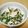 ピン9ノン's cooksnap of when they made 白だしで♪春色菜の花の白和え.