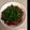 たかたん♡'s cooksnap of when they made 高知☆めんつゆで簡単♪美味しいかつお漬け.
